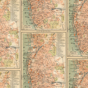 Eclectic Elements Palette Orange PWTH233