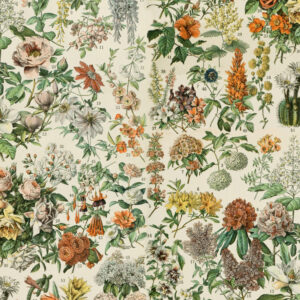 Eclectic Elements Palette Orange PWTH237