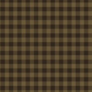 One Sister Yarn Dyes 3382Y 38 Tabacco Brown