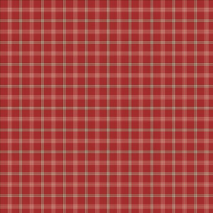 One Sister Yarn Dyes 3386Y 84 Red Cream