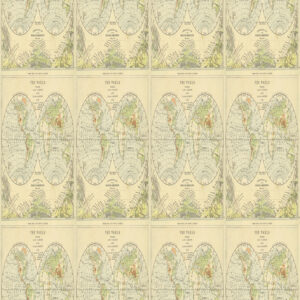 Eclectic Elements Palette Green PWTH263 Map (End of Bolt 56")