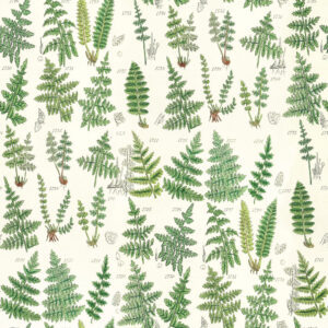 Eclectic Elements Palette Green PWTH265 Ferns (End of Bolt 36")
