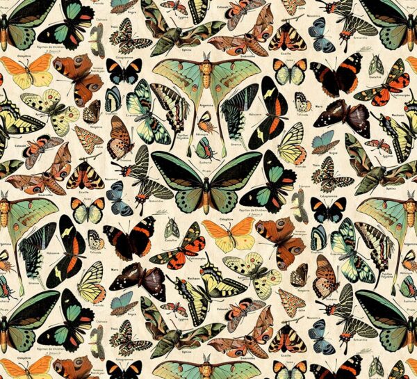 Eclectic Elements Palette Teal PWTH276 Butterflies
