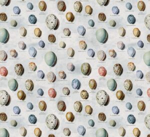 Eclectic Elements Palette Blue PWTH285 Eggs