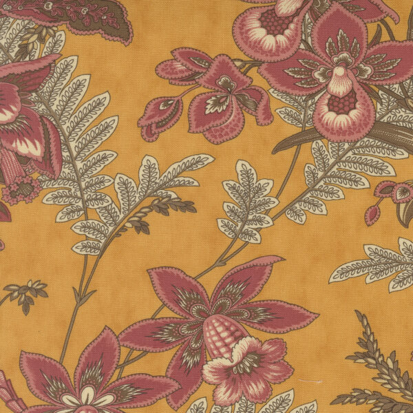 Wild Orchid 2770 14