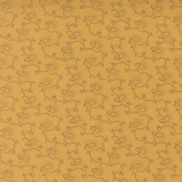 Wild Orchid 2772 14