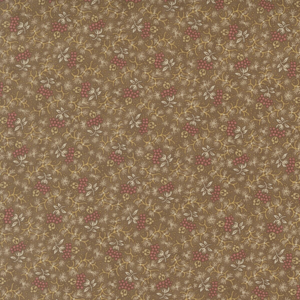 Wild Orchid 2774 12