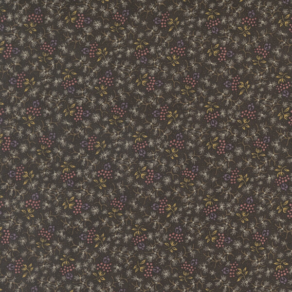 Wild Orchid 2774 13