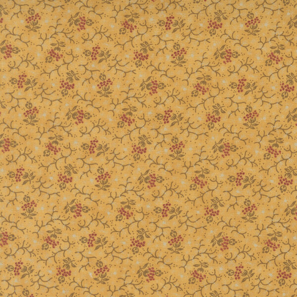 Wild Orchid 2774 14