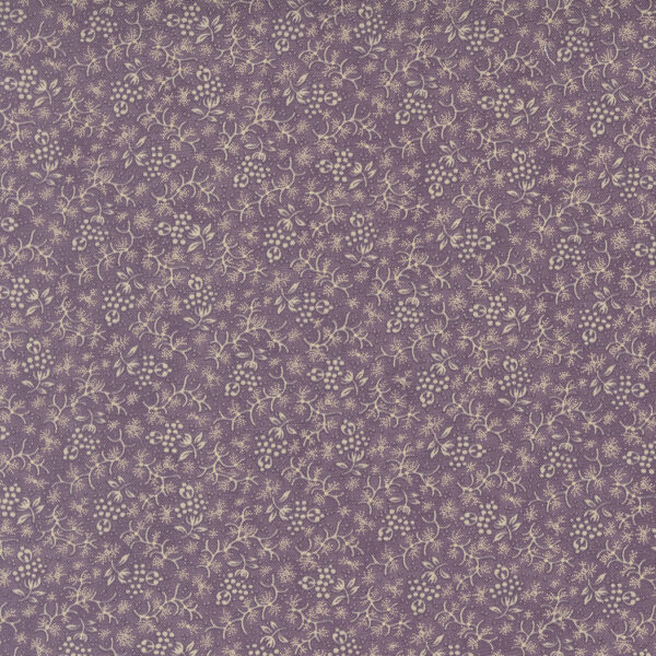 Wild Orchid 2774 16