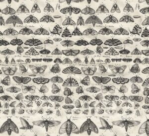 Eclectic Elements Palette Charcoal PWTH315