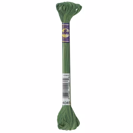 DMC Floss 4045
