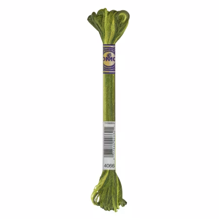DMC Floss 4066