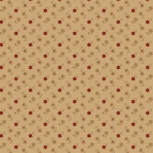 Dear Scarlet R171638D Beige