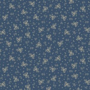 Indigo Schoolhouse R221699D Blue