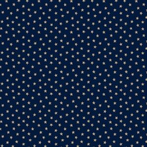 Indigo Schoolhouse R221700D Navy